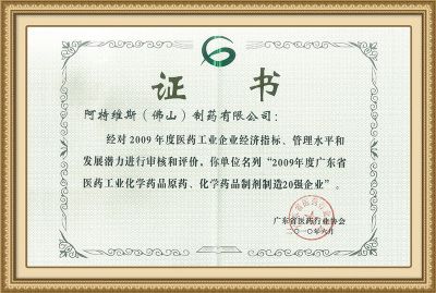 2009廣東省制造20強企業